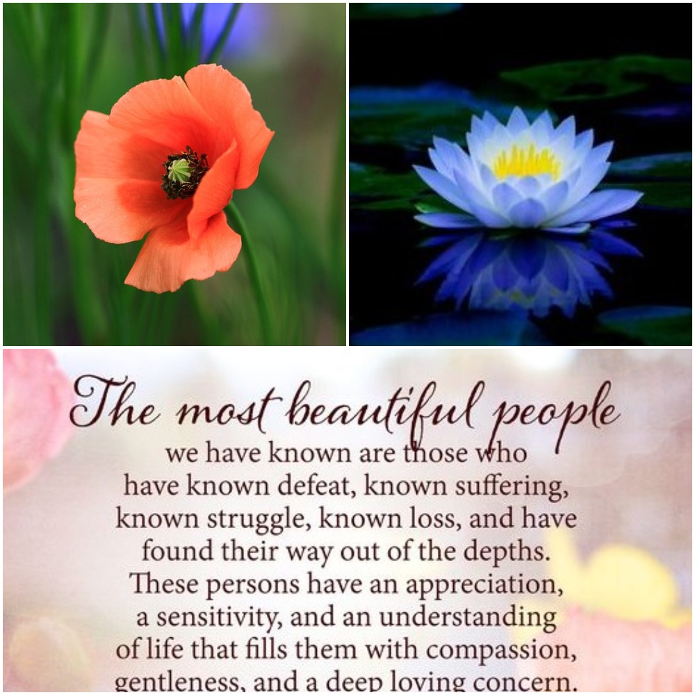 Photo Collage Made With