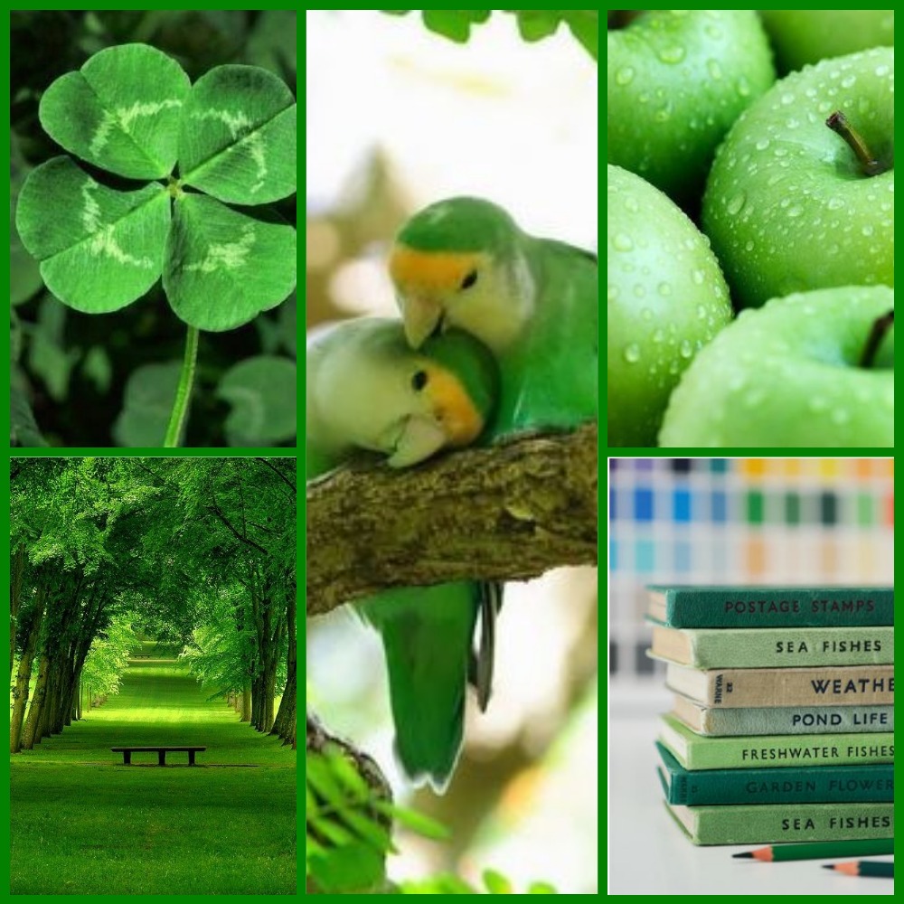 Photo Collage Made With